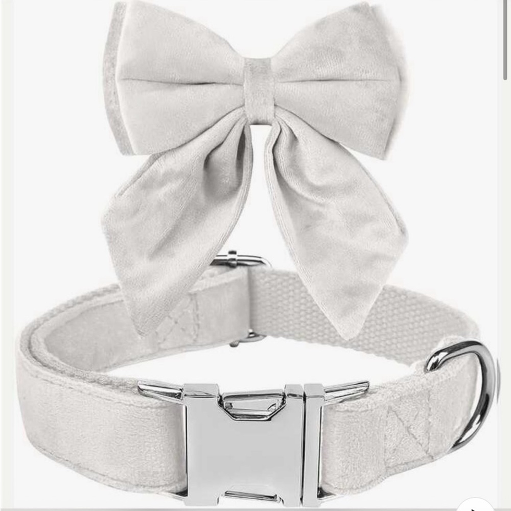 Elegant White Bow Choker Necklace